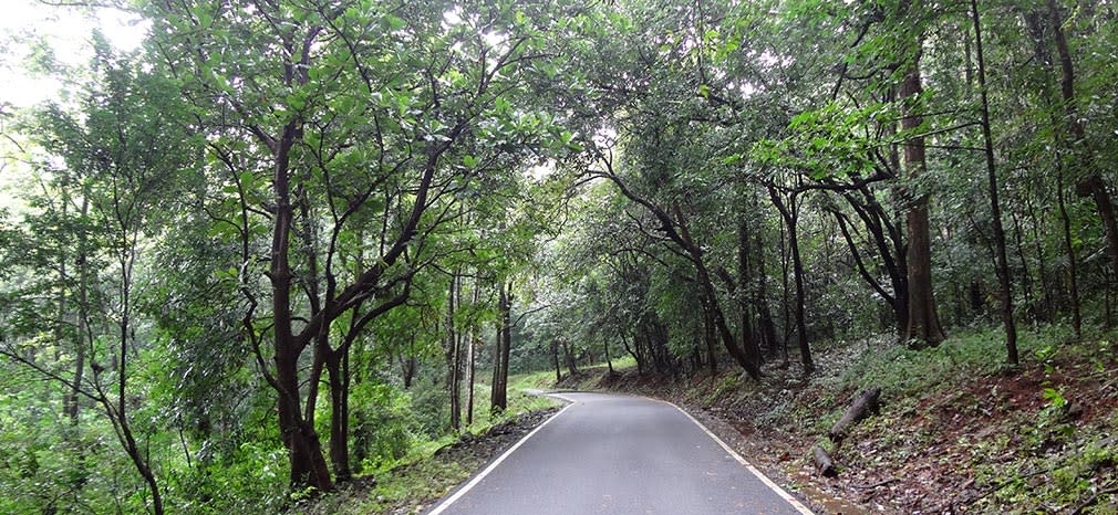 Athirappilly_to_Valparai_Damn_Great_Roads